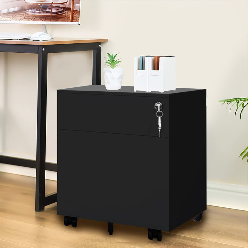 2 Drawer Mobile File Cabinet with Lock Metal Filing Cabinet for Legal/Letter/A4/F4 Size, Fully Assembled Include Wheels, Home/Office Design