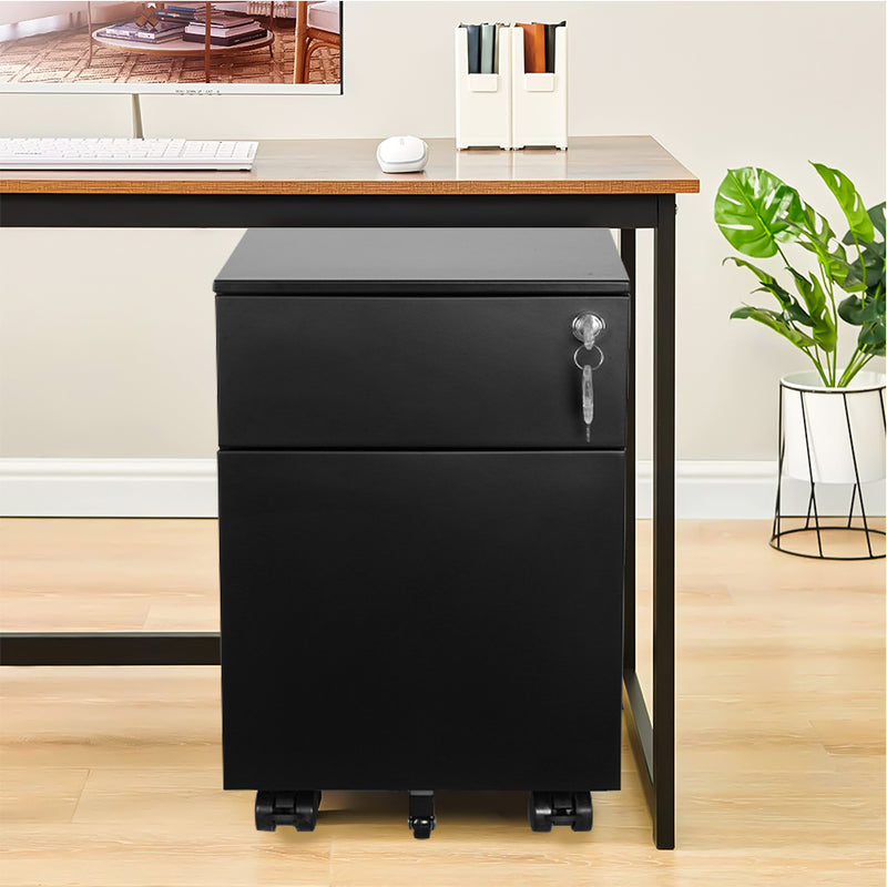 2 Drawer Mobile File Cabinet with Lock Metal Filing Cabinet for Legal/Letter/A4/F4 Size, Fully Assembled Include Wheels, Home/Office Design