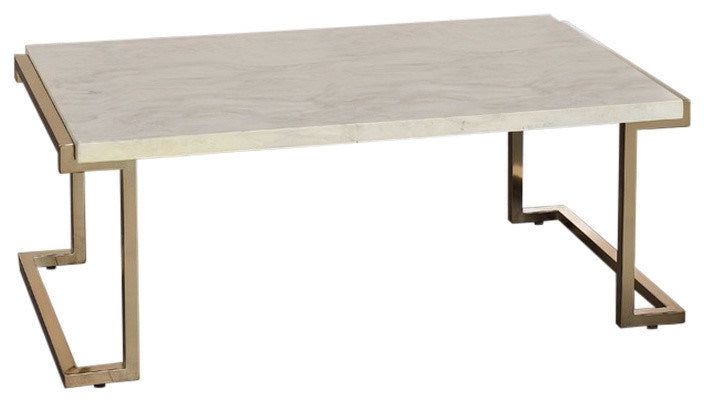 Boice II Coffee Table in Faux Marble & Champagne XH